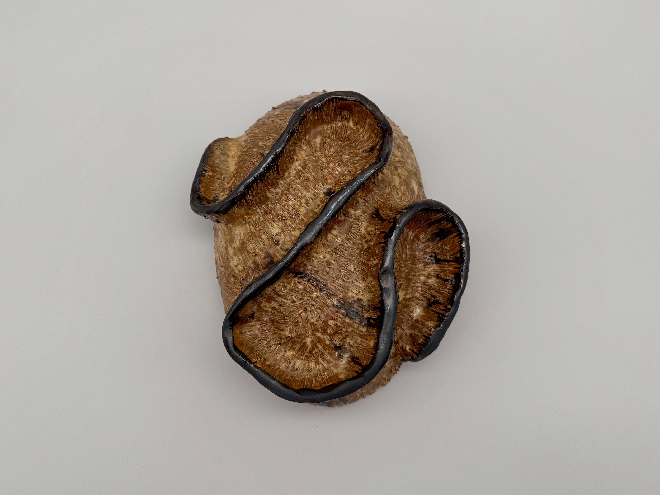 Objètes test - Image 3