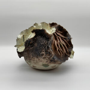 Coral Spheres: 01