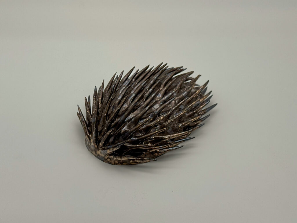 objetes-w57