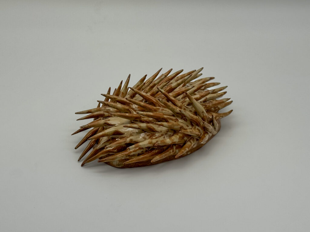 objetes-w62