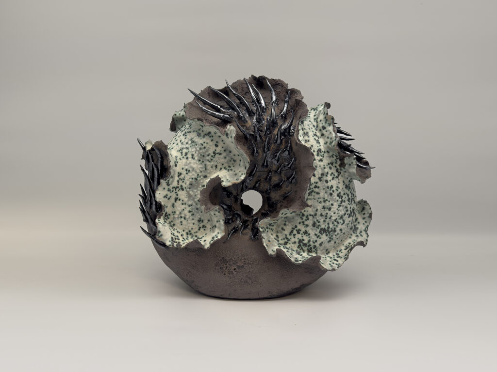 tidal-rings-02