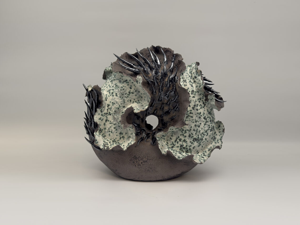 tidal-rings-02