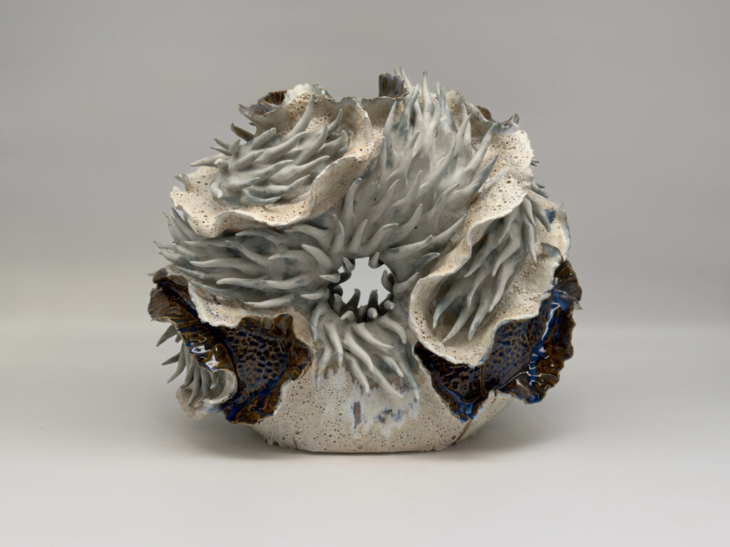 tidal-rings-01